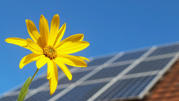 Solar Upgrade: Transforming Your Residence With Clean Energy