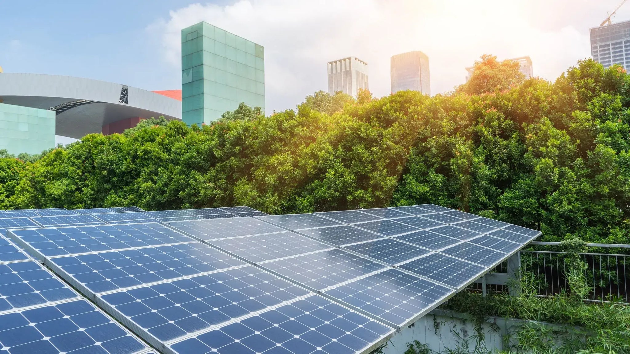Beyond the Grid: How Home Solar Panels Contribute to Sustainability