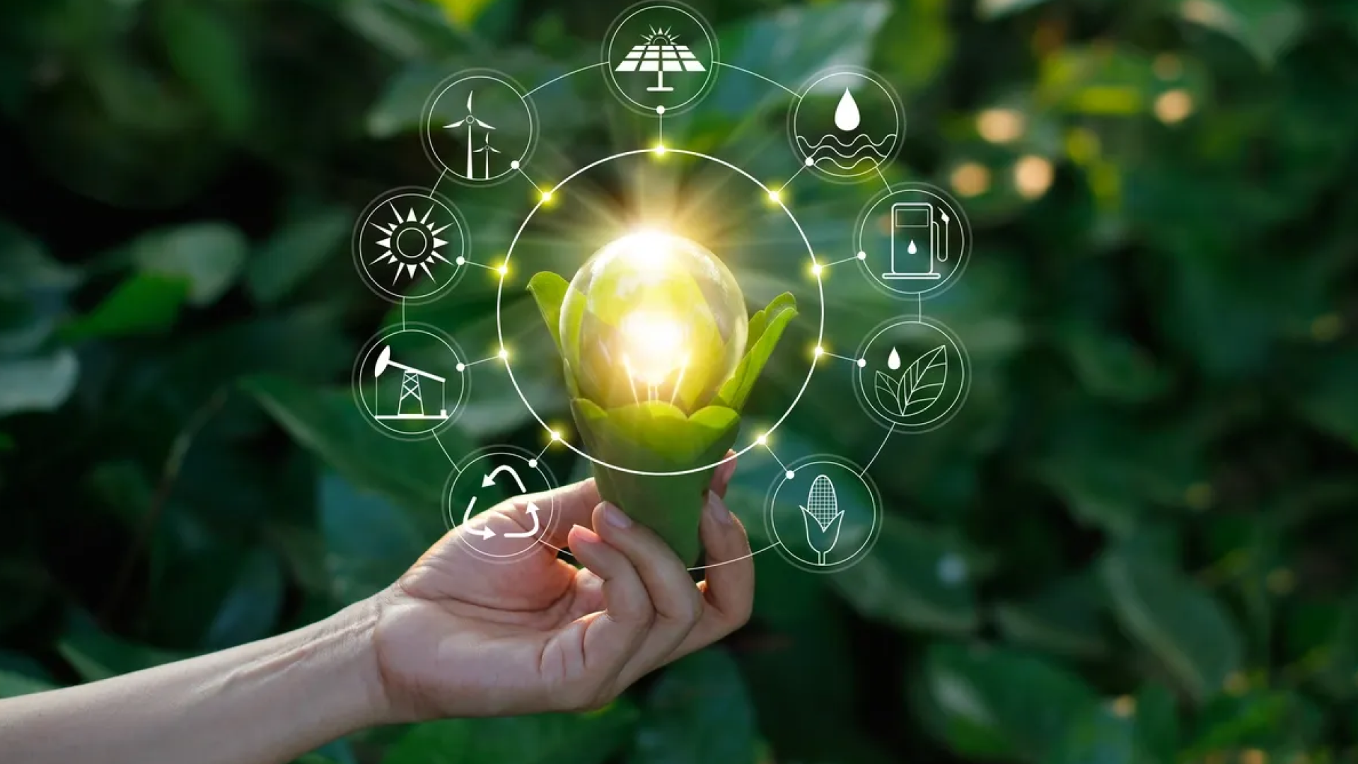 The Future of Green Energy in India: What 2025 and Beyond Looks Like