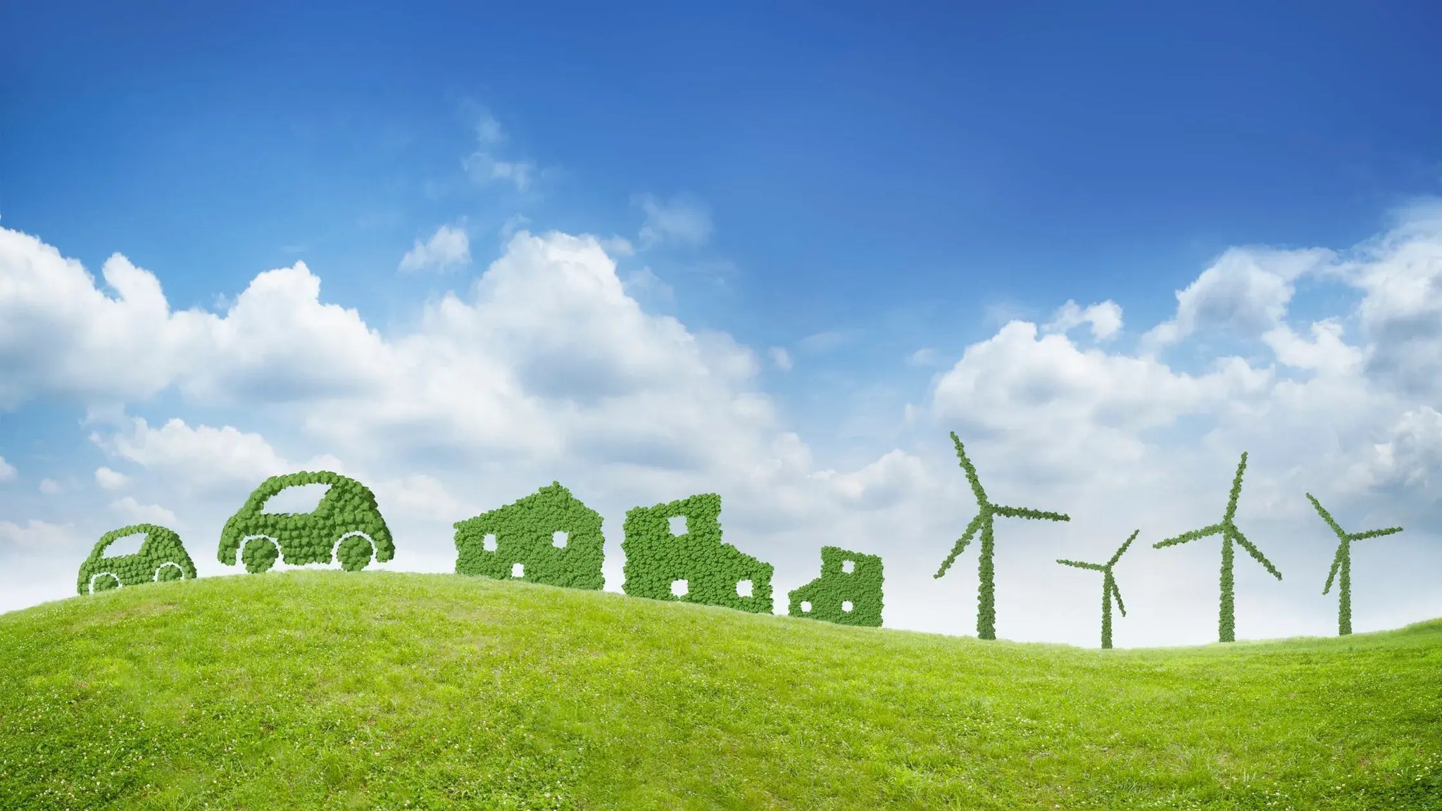 From Sun to Wind: Exploring Diverse Clean Energy Options