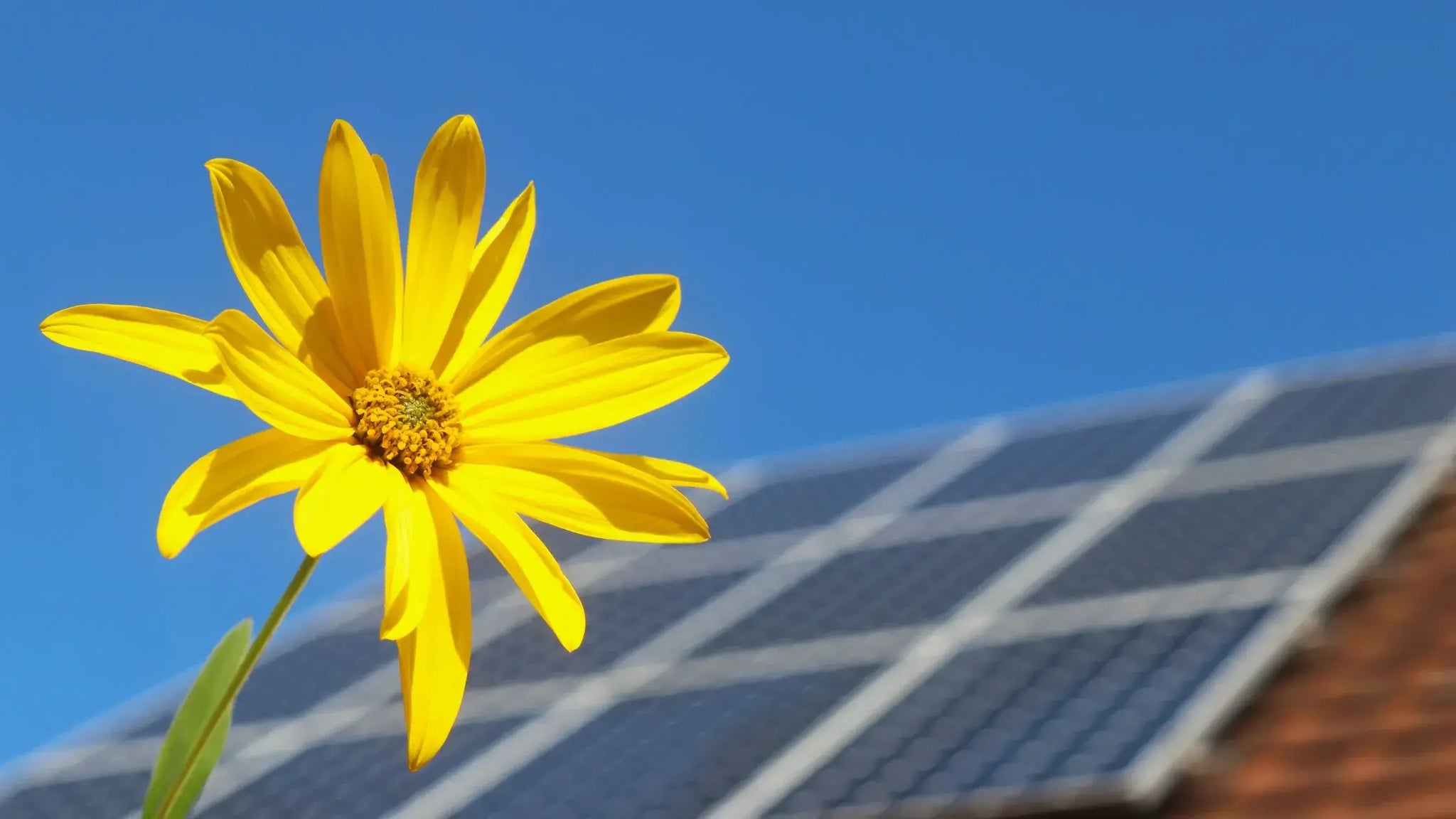 Solar Upgrade: Transforming Your Residence With Clean Energy