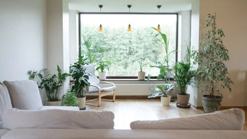 Sun-Powered Living: Embracing Solar Energy for a Sustainable Home