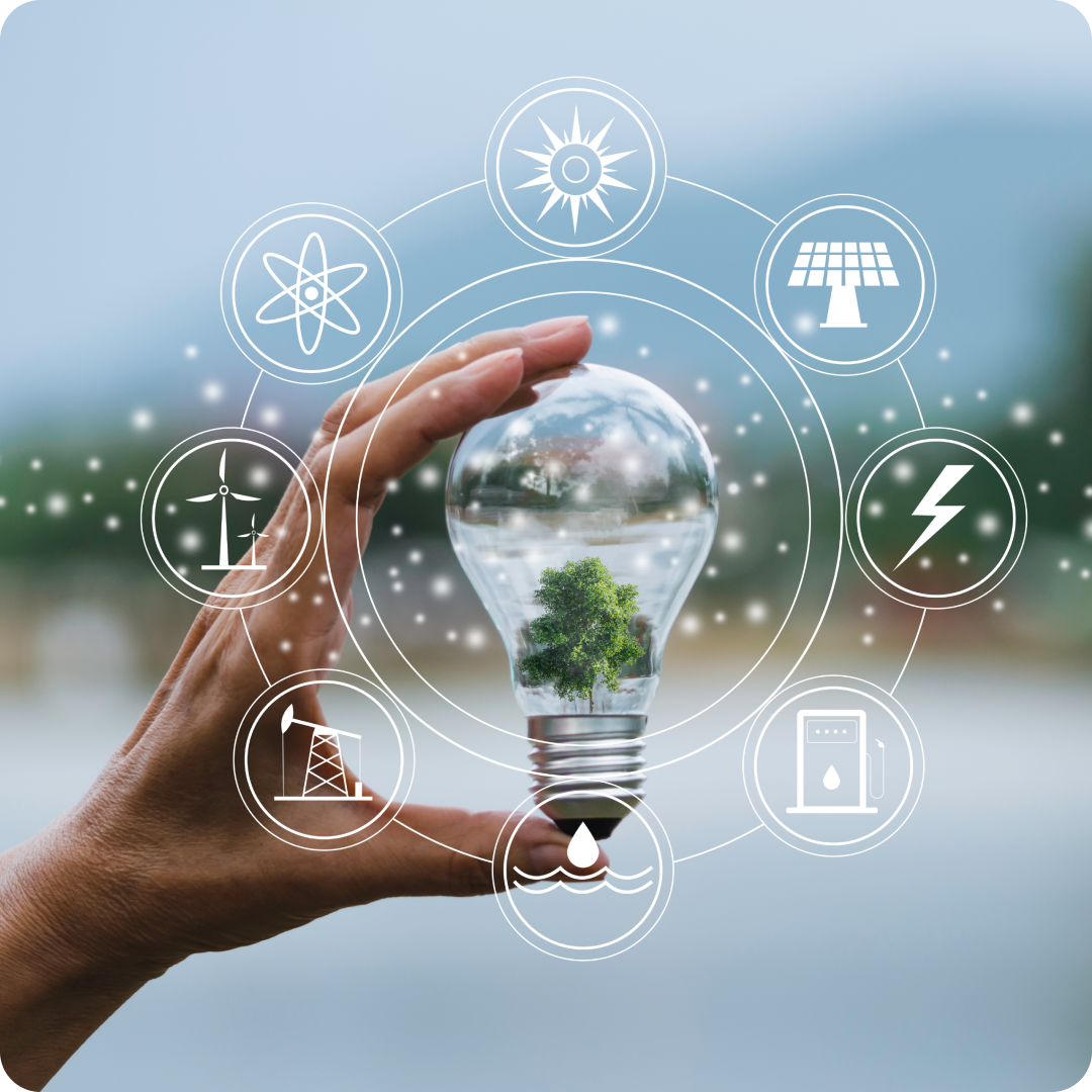 Hyenr service offerings in solar installations, bio green STP , solar panel 